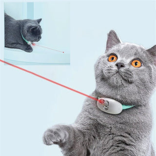 PawLove | Laser Genopladelig Legetøjskrave - Cayana - 1